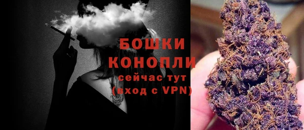 ешки Аркадак